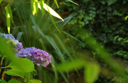 Chilhac Bed & Breakfast | Chez l'Autre