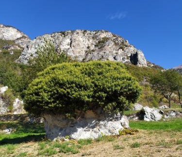 Chatillon House | Chez Lucie CIR 0010