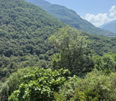 Melles House | Chez Pascale