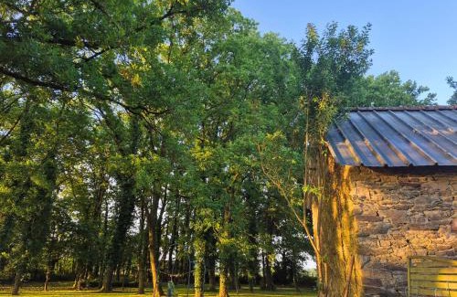 Maxent Other | Chez Vallye