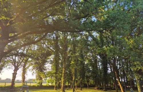 Maxent Other | Chez Vallye