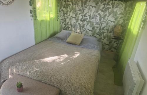Maxent Other | Chez Vallye
