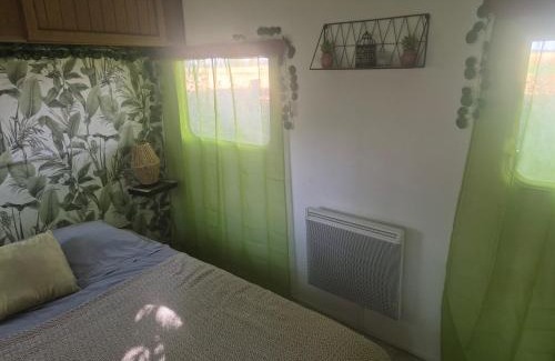 Maxent Other | Chez Vallye
