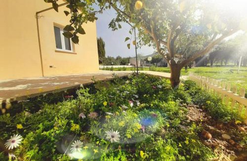 Alghero Apartment | Chiara's Country (IUN R7916)