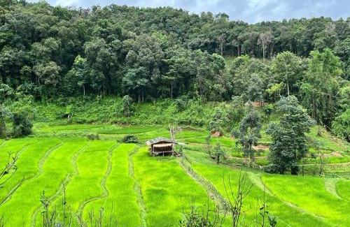 Samoeng House | Chibacall ชิบะคอล, Chiang Mai Hideaway Homestay