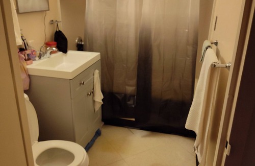 The Hill Apartment | Chic 1-bedroom apartment with WiFi, fitness room in cool New Haven