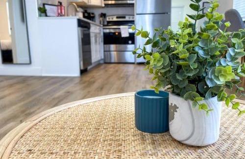 St. Petersburg - Clearwater House | Chic And Cosy Newly Renovated Near The Beach