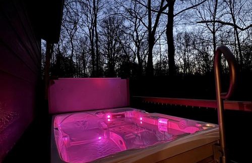Carbondale House | Chic Modern Cabin with Jacuzzi Ideal for Couples in Carbondale, Illinois