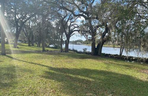 South Seminole Heights Apartment | Chic pad in center of Seminole Heights-322