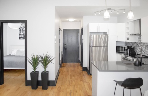 Plateau Mont Royal Apartment | Chic Retreat in Montreal's Vibrant Plateau Area (1-bedroom apartment)