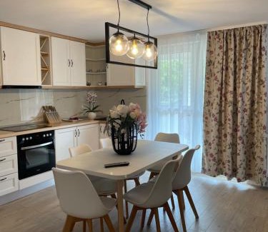 Viseu de Sus Apartment | Chic Studio Maramures