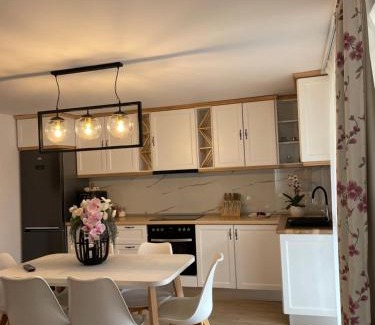 Viseu de Sus Apartment | Chic Studio Maramures