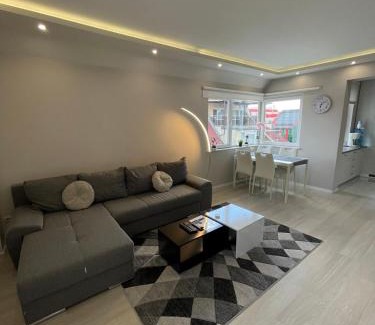 Sofia Apartment | Chicago Modern 1BDR apt near Arena 8888 Sofia and SofiaMed