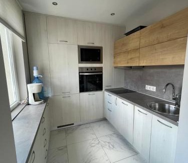 Sofia Apartment | Chicago Modern 1BDR apt near Arena 8888 Sofia and SofiaMed