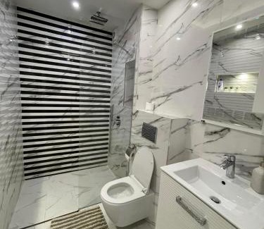 Sofia Apartment | Chicago Modern 1BDR apt near Arena 8888 Sofia and SofiaMed