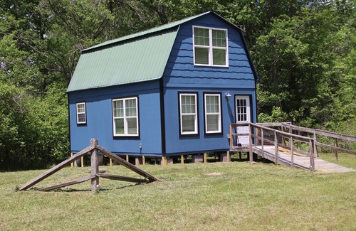 Morganton Cabin | Chicory Cabin, Accessible, at Maple Ridge Creek, N GA Mountains