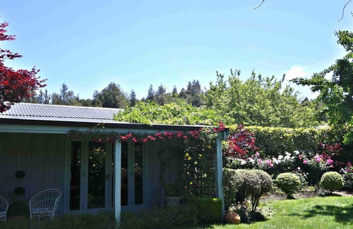 Claudelands Cabin | Chill at The Cabin