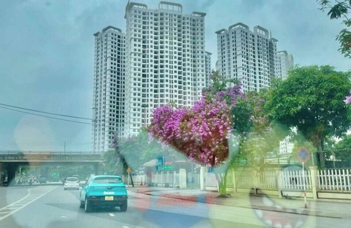 Go La Apartment | Chill Home - Chung Cư Tecco Elite City