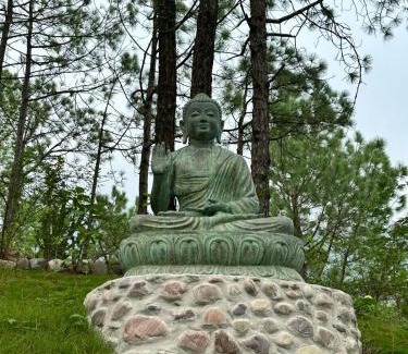 Kumarhatti Resort | Chillaru Spa & Resort