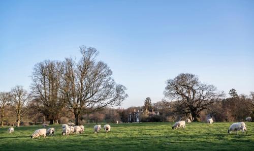 Lenham Hotel | Chilston Park Hotel