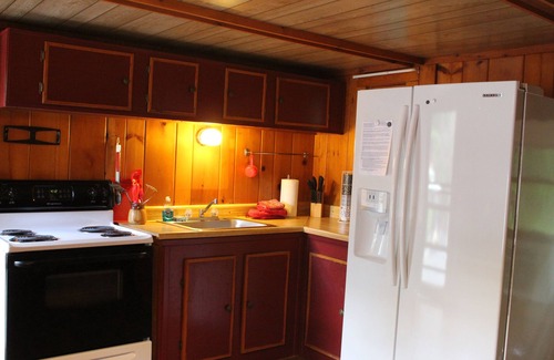 Chestertown Cabin | Chipmunk Cabin, Beautiful hand carved King Bed, Full Kitchen, plus AC! sleep 2