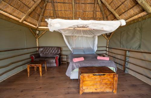 Kachikau Other | Chobe Hideaway