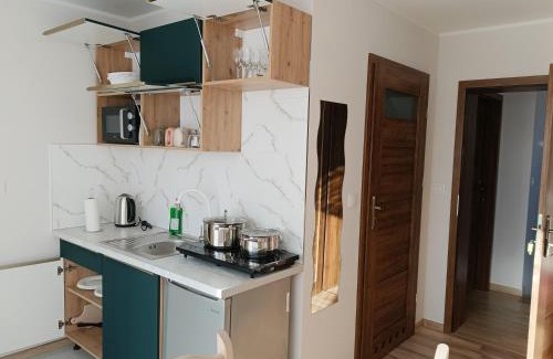Tylicz Apartment | Chruścielówka ap nr 4