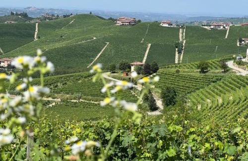 Barbaresco House | Ciabot Barbaresco
