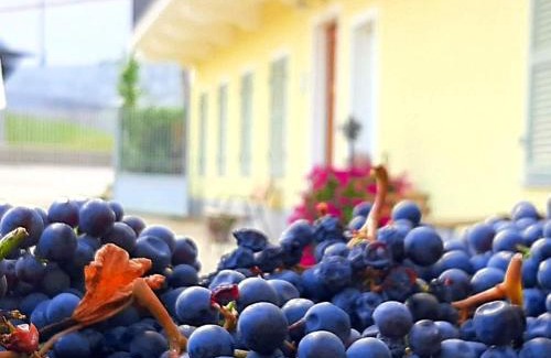 Barolo Apartment | Ciabot delle Aie - Barolo