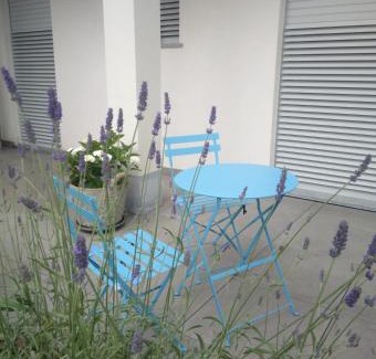 Alba Apartment | CICCI HOUSE