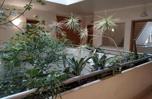 Figueira da Foz Apartment | Cidade da Praia