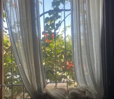 Vittoria House | Cielo Stellato