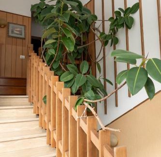 Marina di Vasto House | Cinzia House