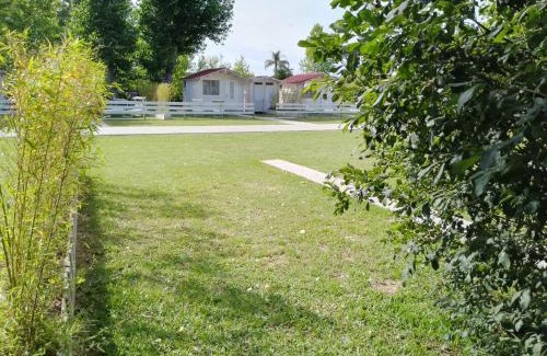 Colonia Elena Other | CirceMed