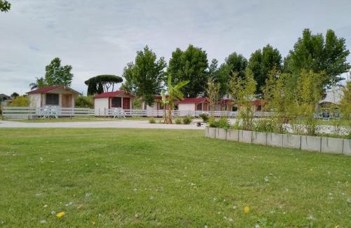 Colonia Elena Other | CirceMed