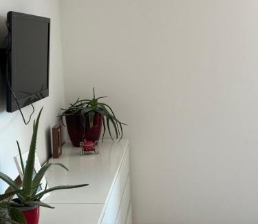 Oberdorla House | City Center Room with a view