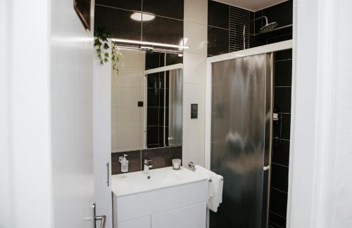 Slavonski Brod Apartment | City Center Spacious Apartment Brandt