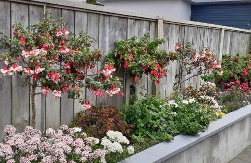 Whanganui House | City Haven BnB