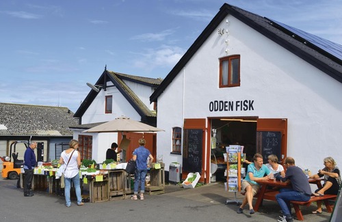 Sjllands Odde House | Classic vacation home on nature plot only a few hundred meters from the sea.