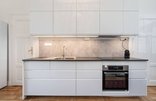 Nepszinhaz negyed Apartment | Classical apartment with a modern touch!