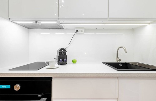 Nepszinhaz negyed Apartment | Classical mini studio with a modern touch!