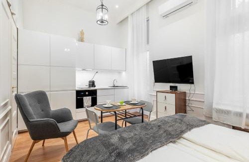 Nepszinhaz negyed Apartment | Classical mini studio with a modern touch!