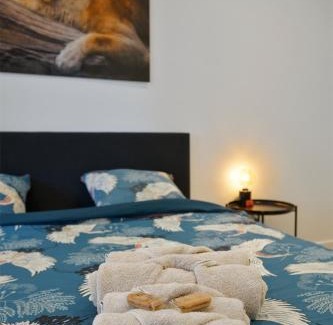 South Antwerp Apartment | Classy 1BR Apartment Overlooking a Beautiful Park