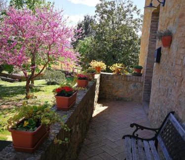 Sovicille Apartment | CLAUDIA VACANZA TOSCANA - Appartamento Nocciolo- 10 min da Siena