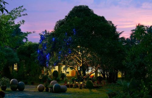 Irinjalakuda House | Clayfingers Art Cottage
