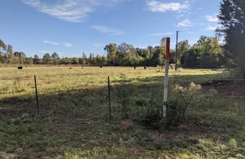 Mc Adams House | Clayhills