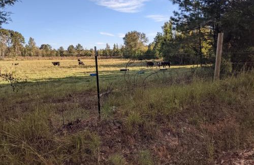 Mc Adams House | Clayhills