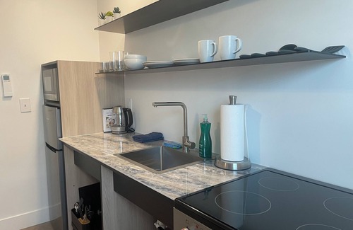 Downtown Omaha Apartment | Clean Studio Walk to Old Market