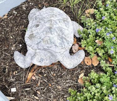 Clearwater House | Clearwater Hideaway w Huge Lap POOL 7 min to BEACH