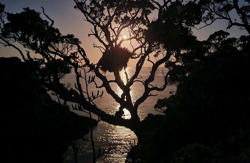 Matapouri House | Cliff top stunningly located original bach